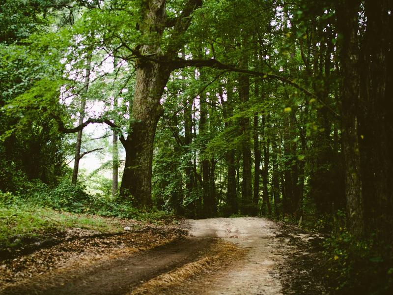 sudoku timer mode screenshot 4